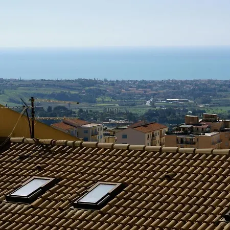 Amici